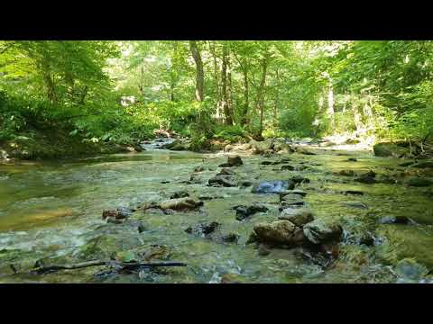 Valea Sibișelului Jud.Hunedoara Com.Beriu