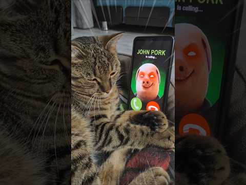 John Pork calling me 😱😯🐷☠️