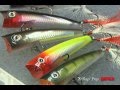 Rapala X-Rap Pop Popper 7,0cm YP 7cm - YP - 11g