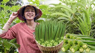 Harvesting OKRA FLOWER, CATCH CHICKENS - Making garden, Cooking | Phương Farm Life