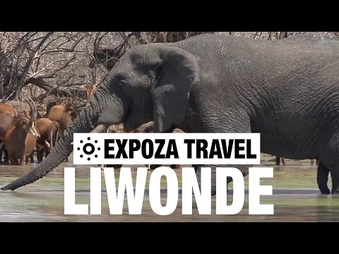 Liwonde National Park (Malawi) Vacation 