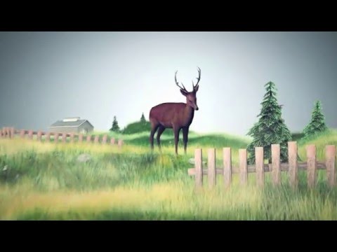 HOLZ KLADE // INGENIEURBÜRO