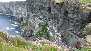 Klif na Orkadach