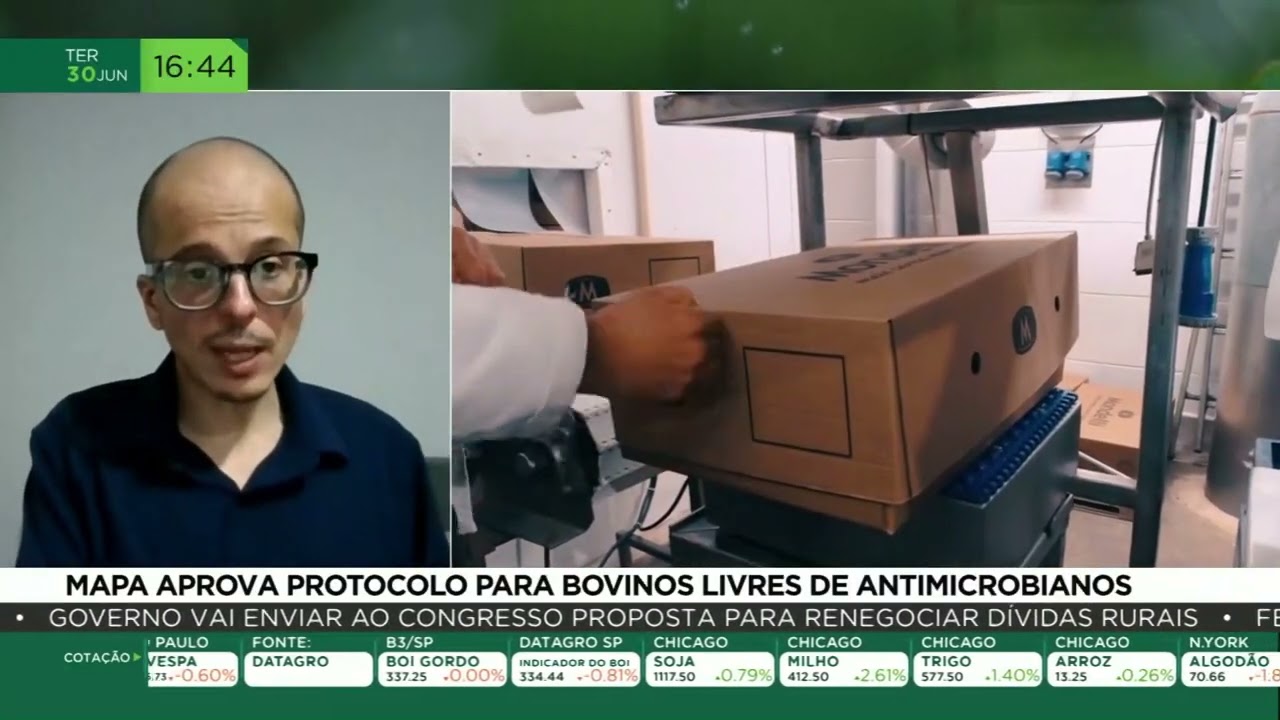 Mapa aprova protocolo para bovinos livres de antimicrobianos