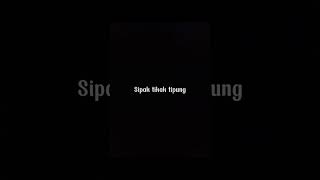 Download lagu Supak tipak tipung🎧 #lirik #shorts mp3