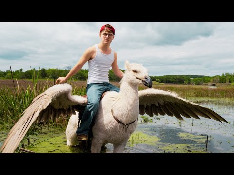 YouTube Thumbnail