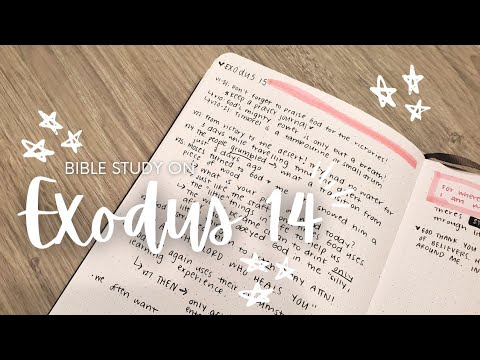 Bible Study on Exodus 14 | Study the Whole Bible with Me
