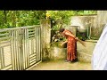 A Cleaning Day My Garden Cleaning Out Door Cleaning ‍ ️ ‍ ️ ‍ ️ ‍ ️
