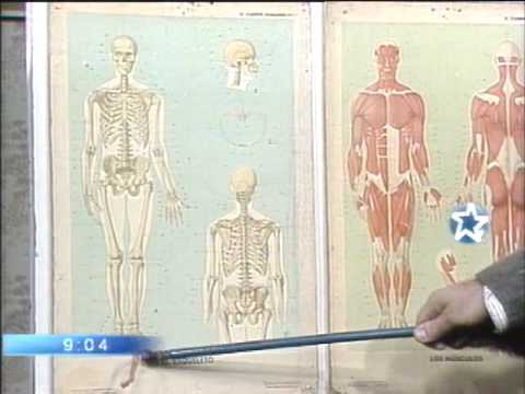 Minguito-Cuerpo Humano