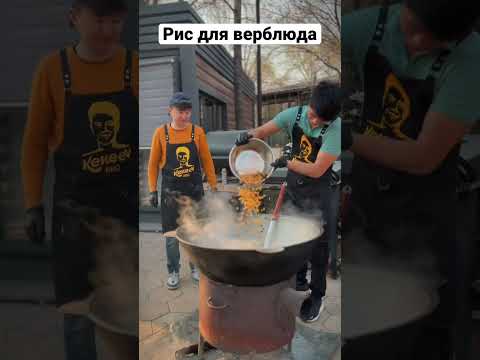 Путь Кекеев-рис для верблюда #казахстан #food #мясотолькомясо #cooking #путь #streetfood #kyrgyzstan