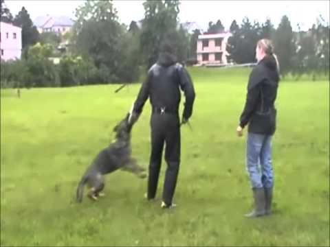 Enjoy z Jukasu - protection - 20 months