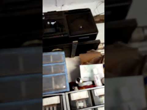 Piano Accordion playing