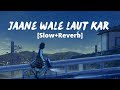 Jaane Wale Laut Kar Slowed Reverb B Praak Payal Dev Chocolate Records