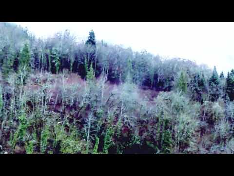 KöSHRiMP - underneath the grass [MV]