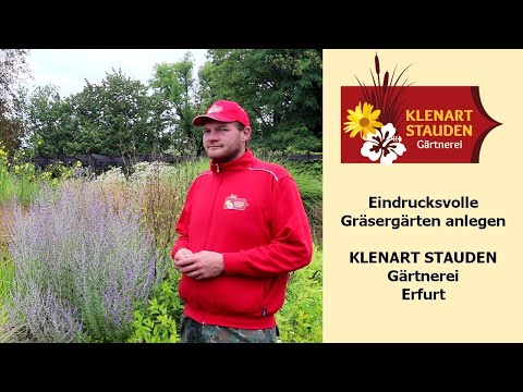 Eindrucksvolle Gräsergärten anlegen