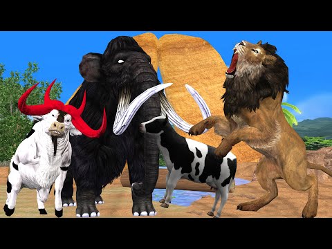 Black Mammoth vs Lion Fight Cow Cartoon Saved By Woolly Mammoth Elephant Wild Animal Cartoon Video