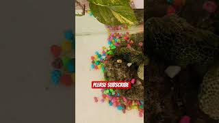 Download lagu please subscribe #jobbiehebriovlogs mp3 Download lagu please subscribe #jobbiehebriovlogs mp3