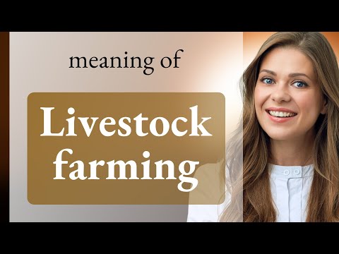 Exploring Livestock Farming: A Guide to Understanding its Basics