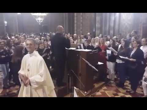 Nadbiskupijski zbor mladih - 10. obljetnica utemeljenja Đakovačko-osječke crkvene pokrajine