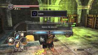 Dark Souls 2 Aldia's Keep SECRETS + Guardian Dragon Boss