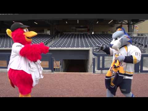 Nashville Sounds Booster Meets Nashville Predators Gnash