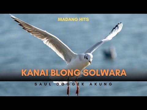 Kanai Blong Solwara: Saul Doggek Akung #Madang #Beats
