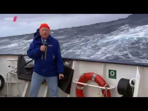 Abenteuer Eismeer - Mit dem Schiff in die Antarktis