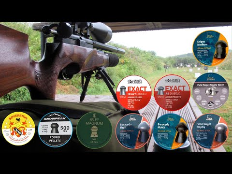 Snowpeak round & Daystate Rangemaster Sovereign. How do they compare in the BSA R10