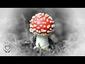 Reiki to Ward Off Toxic People | Energy Healing