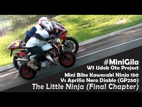 The Little Ninja (Final Chapter): Mini Bike Kawasaki Ninja 150 Vs Aprilia Nero Diablo (GP250)