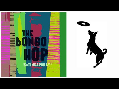 The Bongo Hop - Agua fría - feat. Laurene P Magnani