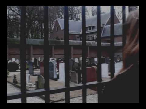 Trailer Schaduwzuster