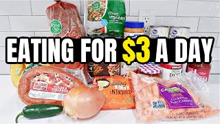 Eating for $3 a Day: Cheap and Healthy Meal Ideas You Need to Try