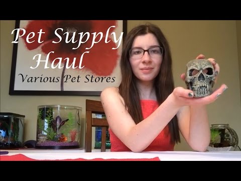 Fish Supply Haul! VARIOUS PET STORES