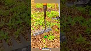 This Simple Blade Upgrade Makes Weeding 10× Easier