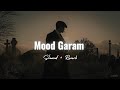 Mood Garam Slowed Reverb Lofi
