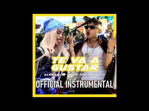 Aleman & Snow Tha Product - Te Va a Gustar ( Prod. by Dj Lil Sprite ) Official Instrumental