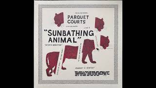 Bodies Made Of - Parquet Courts