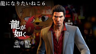 【龍が如く６ 命の詩】龍になりたいねこ6 その5【初見プレイ】