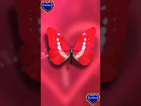 Da-ne Doamne Biruinta Nou 2021