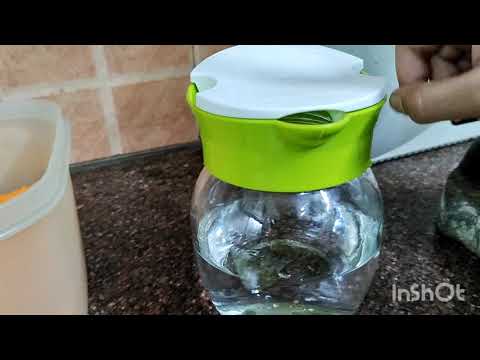 Easy Flameless Cooking|| Orange Oreo Ice-cream|| Raksha bandhan Special