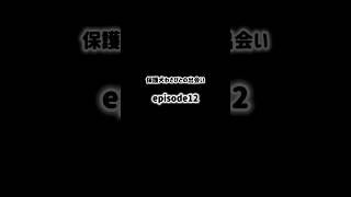 保護犬わさびとの出会い▶︎▶︎episode12（Day9後編）#保護犬#元野犬#わさび