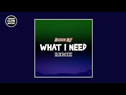 Budda BJ x Deepside - What I Need Remix