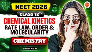 ⚡ Chemical Kinetics: Rate Law | Order & Molecularity | Class 12