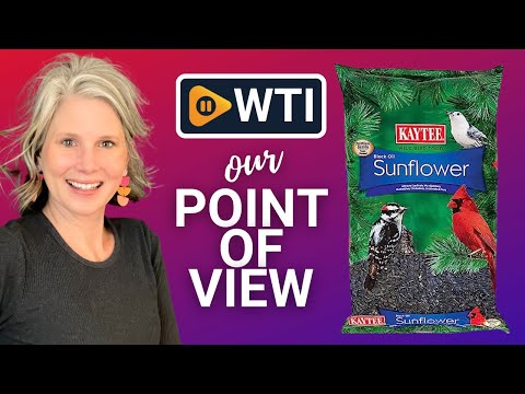 Kaytee Wild Bird Sunflower Food - WTI product video review