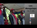 De T shu by Les Mangelepa