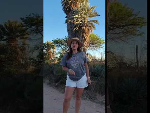 Y ahora que HACEMOS?. #cordobaargentina #turismoargentina #cordoba #SALSACATE