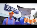 Blippi Visits Florida Aquarium Animals For Kids Educational Videos For Kids