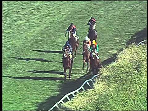 Galoppo 12/12/2015 - 1° corsa