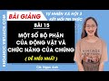 Tự nhiên xã hội lớp 3 Bài 15: Một số bộ phận của động vật và chức năng